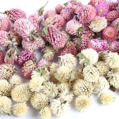 China Classic Ball Cedar Cone Flower Dried Flower Garland DIY Rose Cones Dried Flowers for sale