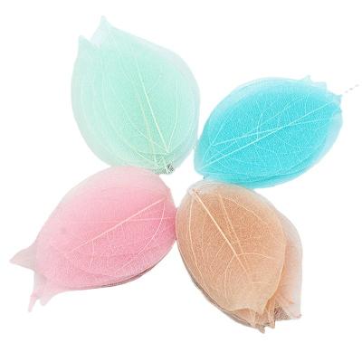 China Classic Wholesale Multi Color Flowers Natural Dry Skeleton Leaves Dyed Leaf Vein 100 Pcs/Bag for sale