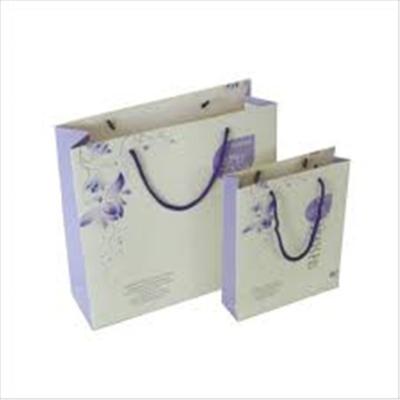 China Recyclable Luxury Paper Shopping Bag Brand, Different Types Design Custom Paper Shopping Bag Making Machine for sale