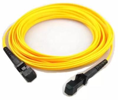 China Single Mode Fiber Patch Cord MTRJ To MTRJ 2mm Length  for sale