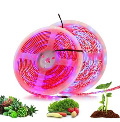 China DC12V DIY Flexible LED Strip 5050 Red Blue 3:1 / 4:1 / 5:1 Greenhouse Hydroponic LED Plant Grow Light Strip 5050-GL for sale