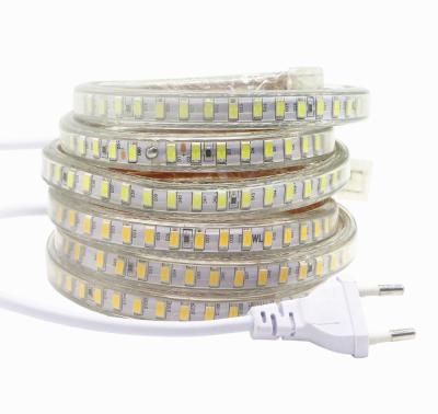 China AC220V LED Residential Flexible Strip Light SMD5630 120leds/m Led Strip Light With Power Socket Garden Outdoor Yard Waterproof IP67 Strips for sale