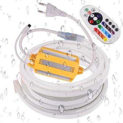 China LANDSCAPE 220V RGB Neon Light SMD5050 Led Flex Tube Waterproof Led Strip Neon Sign Rope With 24 Key IR 1500W RGB Controller Tiras Led for sale