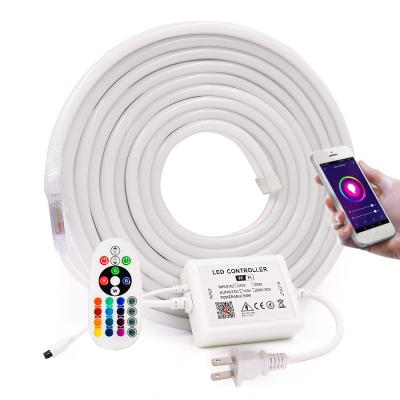 China LANDSCAPE SMD5050 WIFI Led Strip Neon Sign RGB Neon Lamp Led Strip Flexible Rope With 750W RGB Controller Waterproof Led Strips 110V 220V for sale