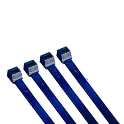 China Custom Nylon Plastic Nylon Cable Tie for sale