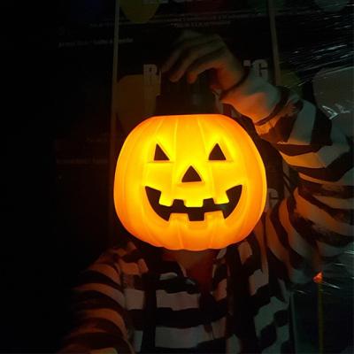 China Festival China Supplier Manufacturer Halloween Decoration Outdoor Party LED Garden Holiday Light for sale