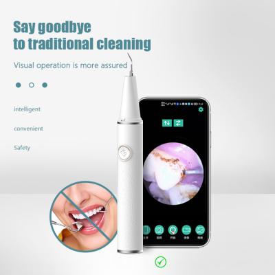 China Evident On The Phone Hot Sale Adult Reliable Oral Clean Hygiene Personal Care Teeth Dental Scaler for sale