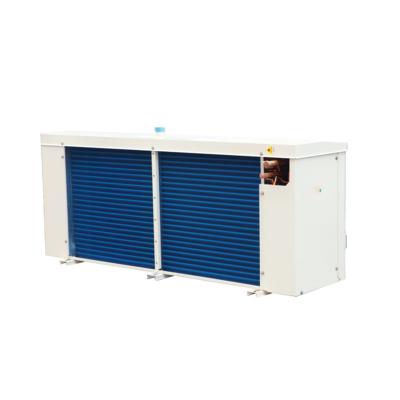 China Hot Selling High Quality Indoor Cold Storage Room Freezer Room Easy To Install Freezer Cold Room Condensing Unit for sale