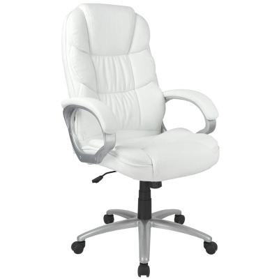 China Ergonomic Executive Chair Office Chair With Lumbar Support Arm Executive Chair for sale