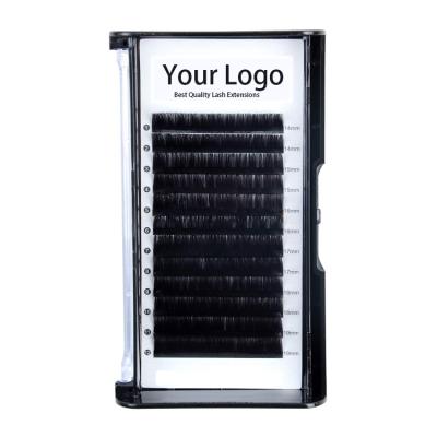 China Full Volume Make Your Own Tray Cards Lash Extensions Packaging Customized 0.03 Eyelash Extensions Supplier Private Labels Lash Fan Easy for sale