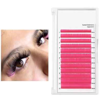 China New Fashion Full Volume Pink And Black Mix Lashes Colorful Gorgeous Rainbow Synthetic Eyelash Extension for sale