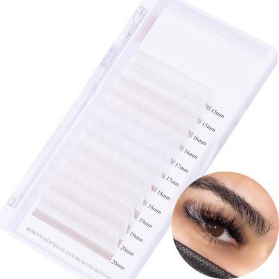 China Full Volume Private Label White Easy Fan Lash Colored Blooming Volume Lash Extensions Supplier for sale