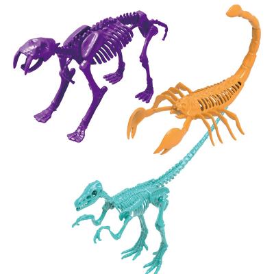 China ABS Toys Factory Wholesale Customizes DIY Education Science Discovers Plastic Excavation Dig Dinosaur Fossil Kids Toys for sale