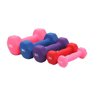 China Home Use Solid Hot Rubber Coated Gym Weightlifting Kits Dumbbell Portable Amazon Cast Iron Dumbbell Biceps Training for sale