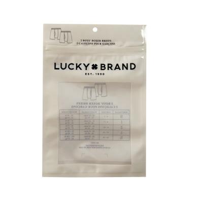 China PET / CPP Custom Printed Zip Lock Bags Plastic Packaging Bags For Clothing Shoes for sale