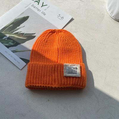 China Wholesale JOINT Printed Winter Beanie Knit Hat Winter Warm Hats With Embroidery for sale