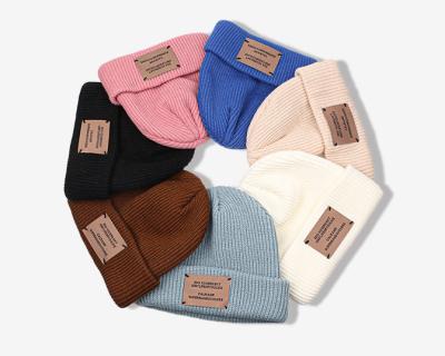 China COMMON Custom Winter Beanie Hat Warm Winter Beanie Suede Factory Price Knit Hat Winter Caps With Embroidery for sale