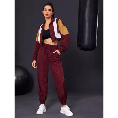 China Anti-Wrinkle Zipper Sport Fitness Crop Top Hoodie 2 Piece Jogger Fitness Set for sale