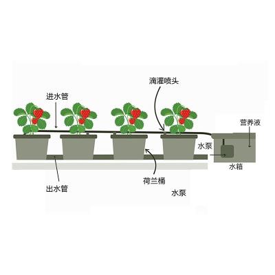 China Corrosion Resistance and Aging Resistance Dutch Barrel Drip Irrigation Planting Balcony Planting Equipment for sale