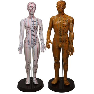 China Bronze Human Body Acupuncture Model Manikin with Male Acupoints and Meridian Points for sale