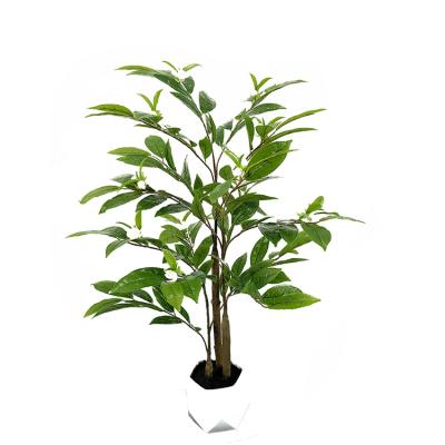 China Environmental Artificial 6ft Camellia Tree with Ceramic Potted Plant for Office Farmhouse Living Room Home Decoration (Indoor/Outdoor) for sale