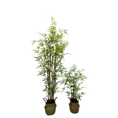 China Artificial Silk Minimalist Almost Natural Bamboo Plants, Green for sale