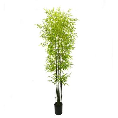 China Environmental indoor and outdoor decorative plastic high quality artificial bamboo tree planting for sale