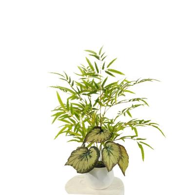 China Environmental Hot Potted Leaf Artificial Bamboo Tree Greenery Bonsai Factory Price Selling Golden Silk Bamboo for sale