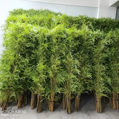 China Artificial Bamboo Tree Greenery Plants 240cm Environmental Plastic in Nursery Pot Decorative Trees for Home Office Lobby for sale