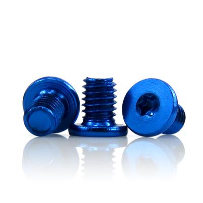 China Pan Non M2 Standard Custom M2.5 M3 Mini Precision Drone Screw Colorful Anodized Small Flat Head Micro Aluminum Screw for sale