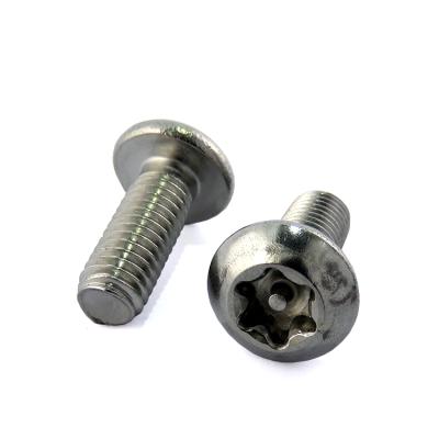 China Pan Factory Price Number Plate Stainless Steel Tamper Pin Torx Security Anti-theft Screw for sale