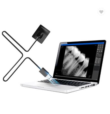 China Metal Clinidock 500/600 USB RVG Medical Dental Digital X Ray Sensor High Resolution Device Cost Effective for sale