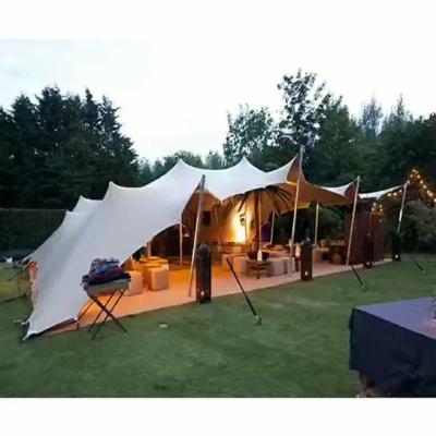 China 2020 New Design Waterproof/Flame Retardant/Wind-resistant Small Stretch Waterproof Tents For Wedding Events for sale