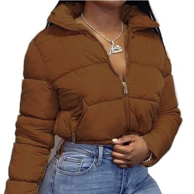 China Custom New Long Sleeve Stand Collar Cardigan DT-C000027 Women Motorcycle Puff Jacket Waterproof Warm Casual College Jackets for sale