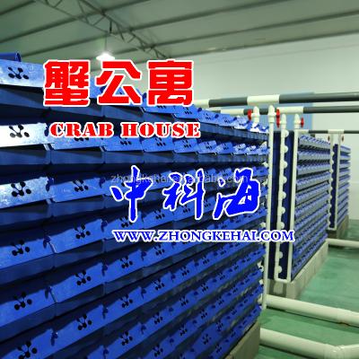 China Indoor Crab Circulating Water Factory Rearing Crab, Indoor Crab House for sale