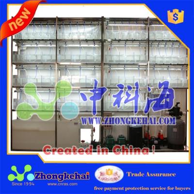 China Zebra Fish Farming System Experimental Aquarium Zkh-bmy09 for sale