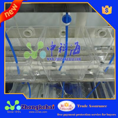 China Zebrafish Farming System Fish Farm Aquarium Zkh-bmy09 for sale