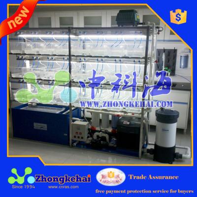 China Aquaculture system for zebrafish, breed zebrafish ZKH-09 for sale