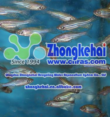 China The Zebra Fish ZKH-09 System for sale