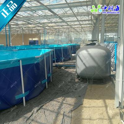 China Indoor Recycling Prawn / Shrimp Farm Water Shrimp Farming System for sale