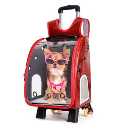 China Colorful Breathable Pet Carrier Backpack Travel Capsule Space Cart Pet Bag For Dog Cat for sale