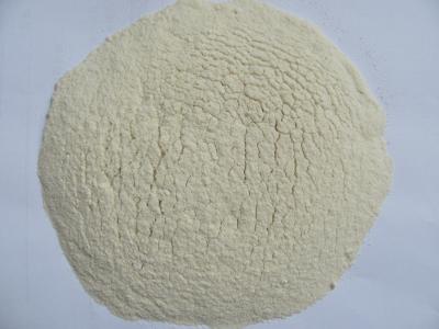 China wholesale Dehydrated/dried garlic powder exporter in china for sale