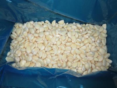 China IQF frozen garlic dice/slice/BQF garlic paste/cloves/vegetables with BRC certificate for sale