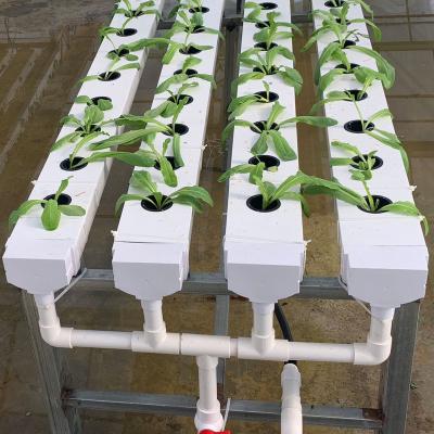 China China Suppliers China Suppliers Agricultural Hydroponic Pipe Nft Channel Hydroponic Square Planting System for sale