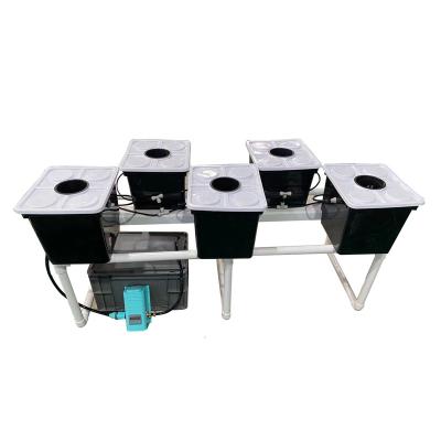 China Grows Hydroponics System Dutch Bucket System for sale