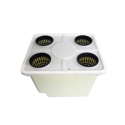 China Modern Dutch Greenhouse PP Bucket Hydroponic System For Vegetable Growing for sale