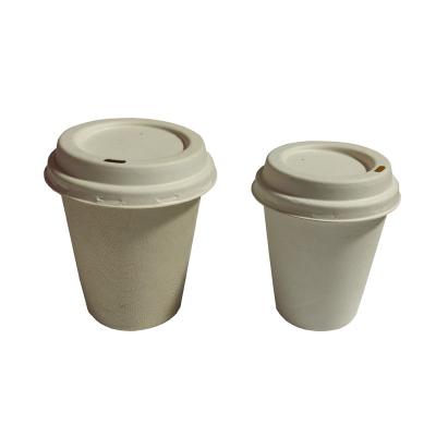 China 8oz 12oz 16oz Food Tomato Sugarcane Sugar Bagasse Coffee Eco-friendly Biodegradable Paper Cup for sale