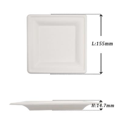 China Disposable 6 inch bagasse square dish, compostable sugar cane tableware for sale