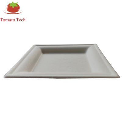 China Compostable Biodegradable Food Sugarcane Tableware Bagasse Paper Pulp 6inch Square Dish for sale