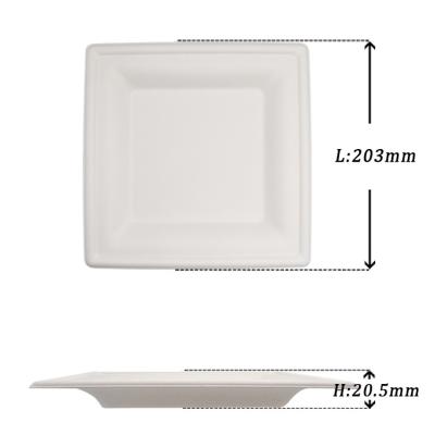 China Environmental Compostable Food Restaurant Set 8 Inch Square Dish for sale